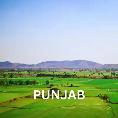 Homestay and BnB Guidelines for Punjab 